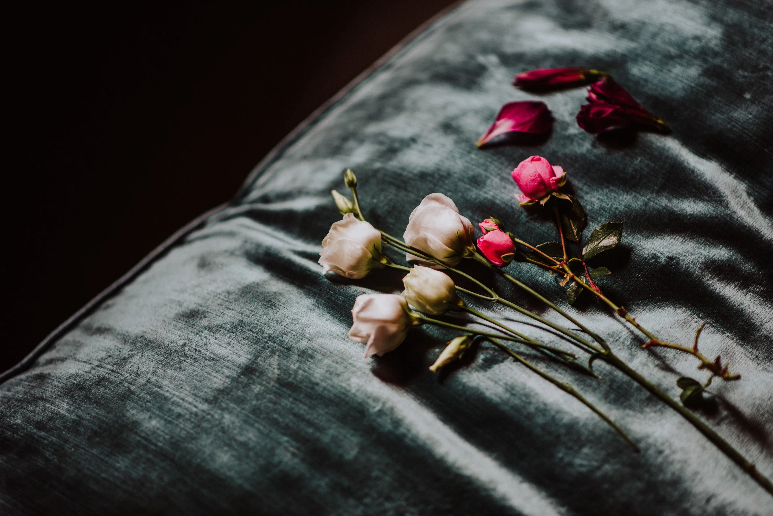 A small bouquet of pink and white roses with some leaves, lying on a dark velvet surface.