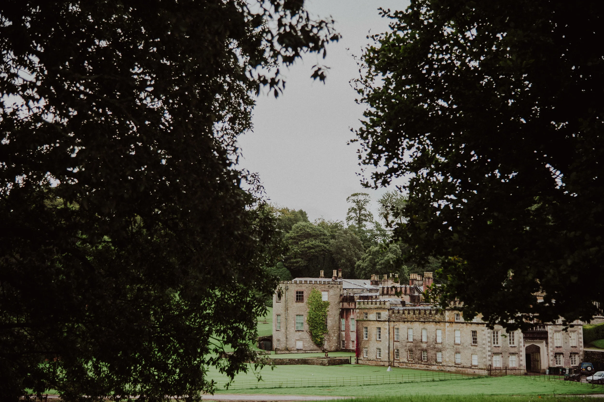 A historic castle with stone walls and multiple chimneys, partially obscured by trees in the foreground, situated on a grassy field.