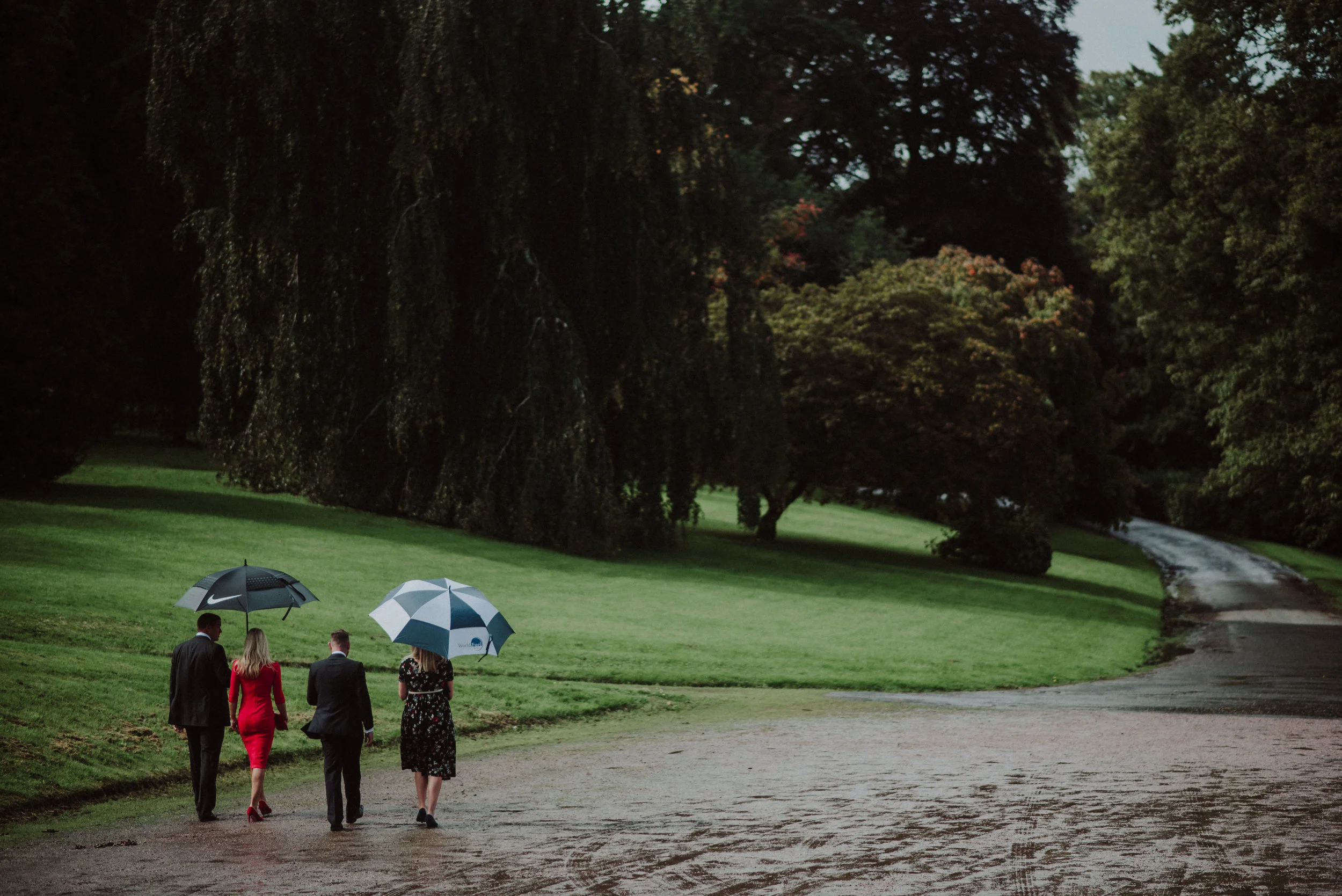 Four people walking on a dirt path in a lush green park, holding umbrellas on a rainy day, surrounded by large trees and grass.