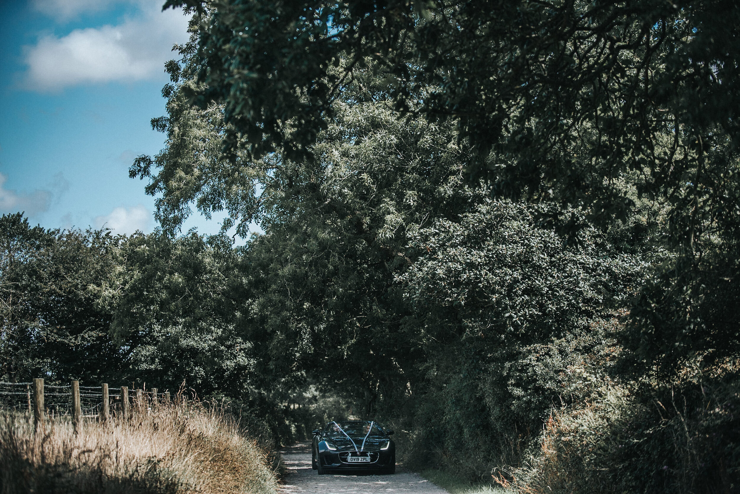 A black sports car decorated with white ribbons driving down a narrow, tree-lined dirt road on a sunny day.