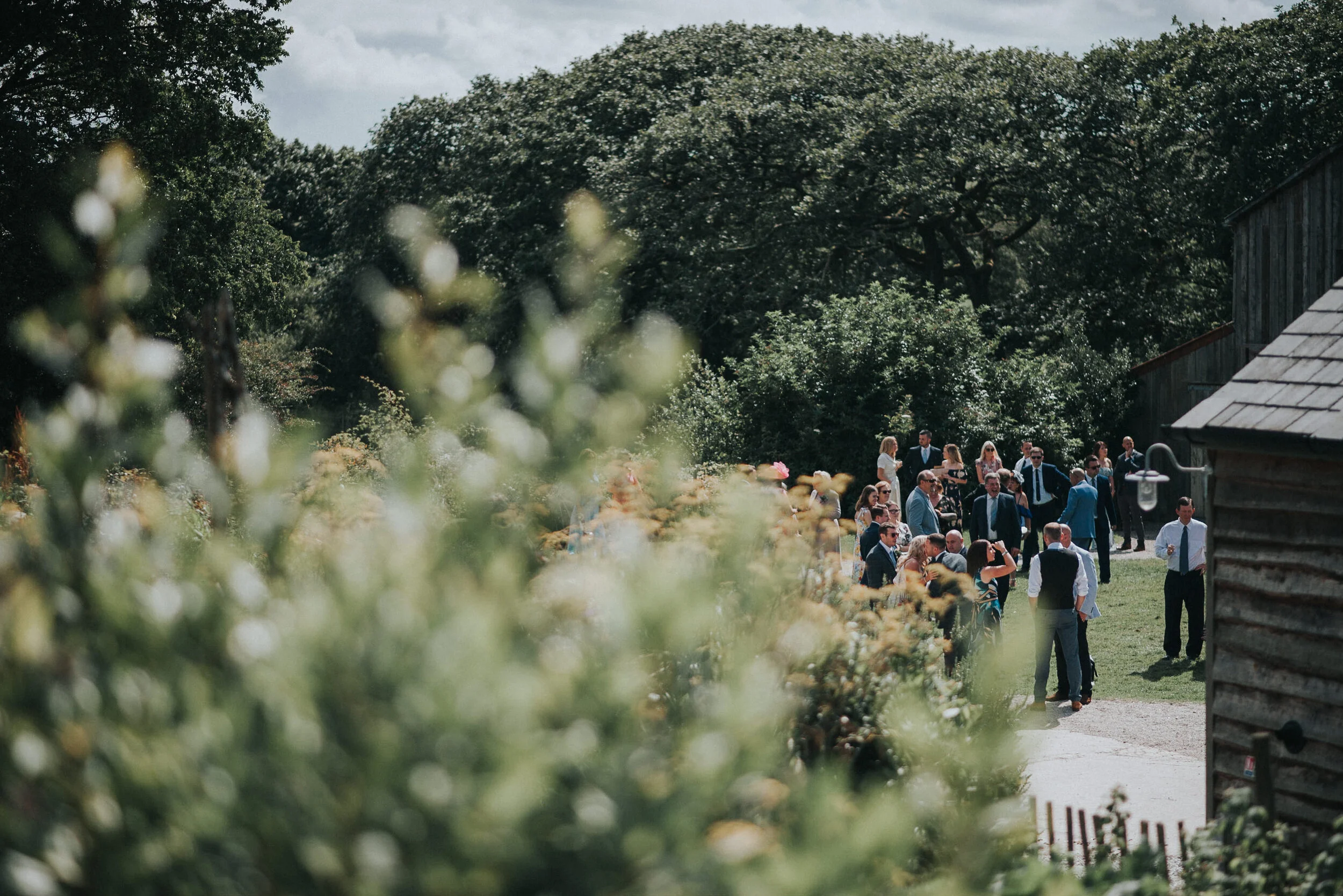 Group of people dressed in formal attire gathered outdoors on a sunny day, likely attending a wedding or celebration, with trees and greenery in the background and blurred plants in the foreground.