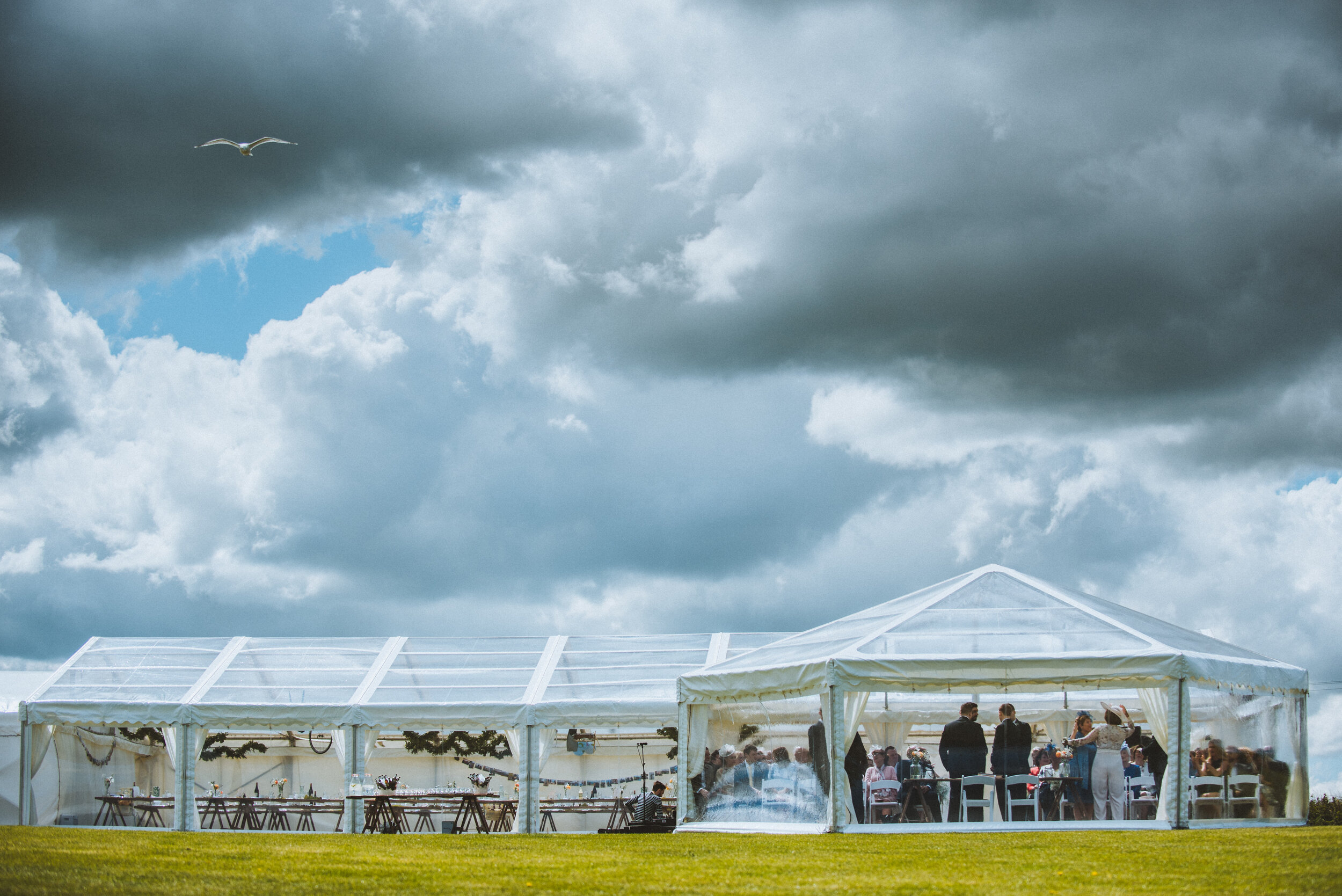 White outdoor event tent on a grassy field with cloudy sky, guests inside, and a seagull flying overhead.