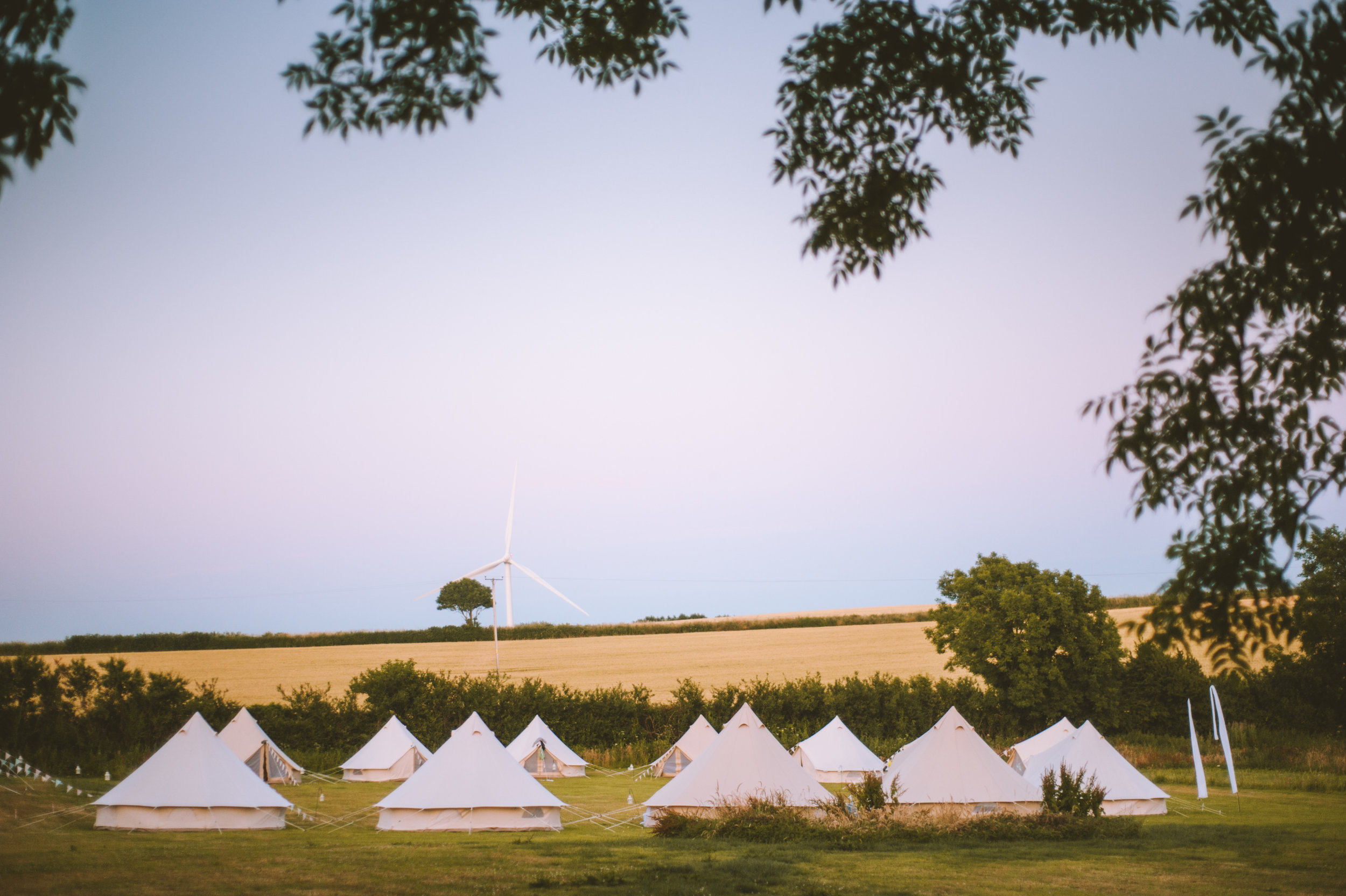 A serene outdoor campsite with several white canvas teepees on a grassy field, framed by tree branches overhead, with a wind turbine and a tree in the background under a clear sky.