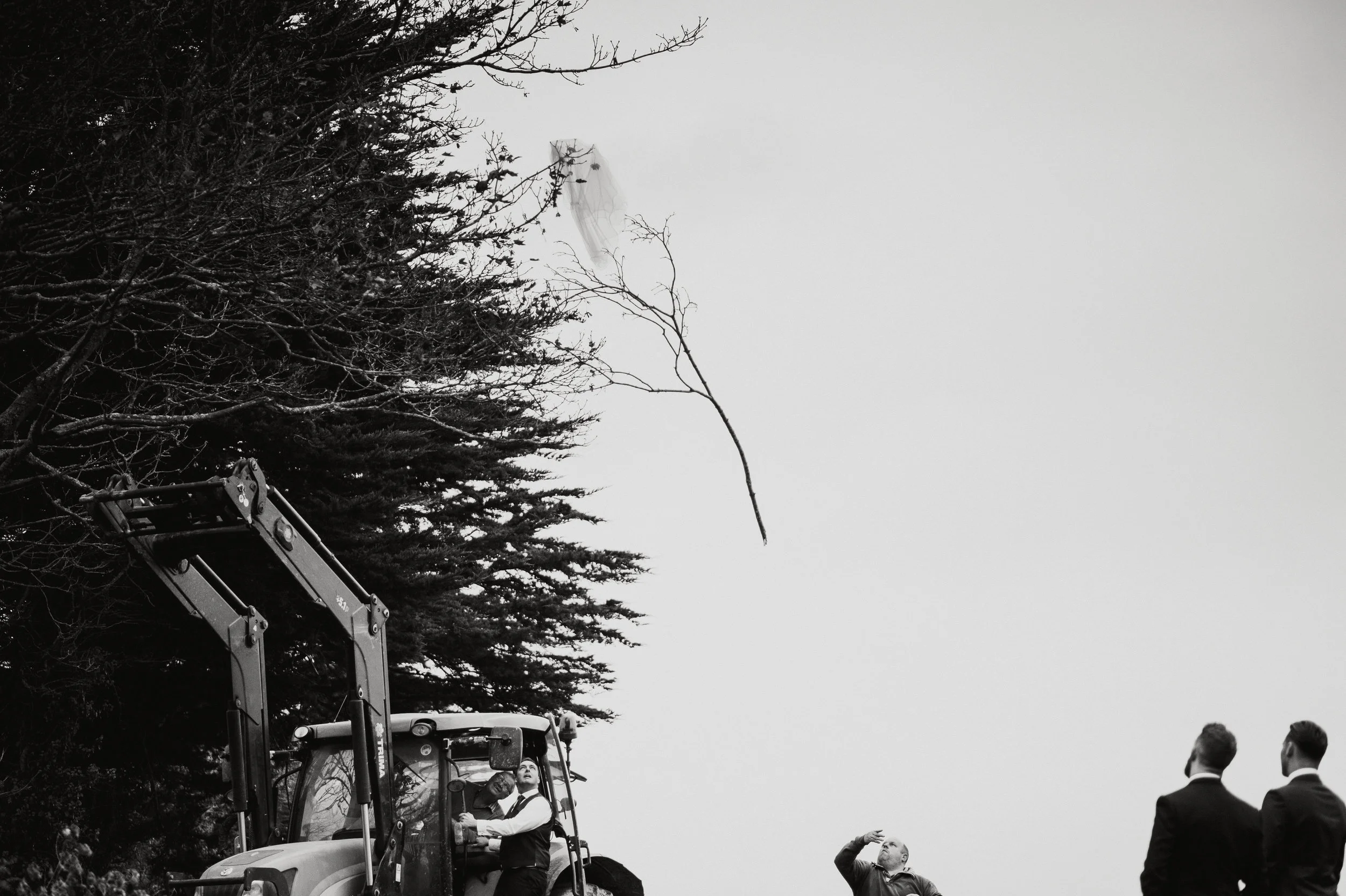 Black-and-white photo of two men in suits standing and talking, a man taking a photo in front of them, a tractor with two men sitting on it, and a large tree with a birdhouse and a leafless branch in front of a cloudy sky.