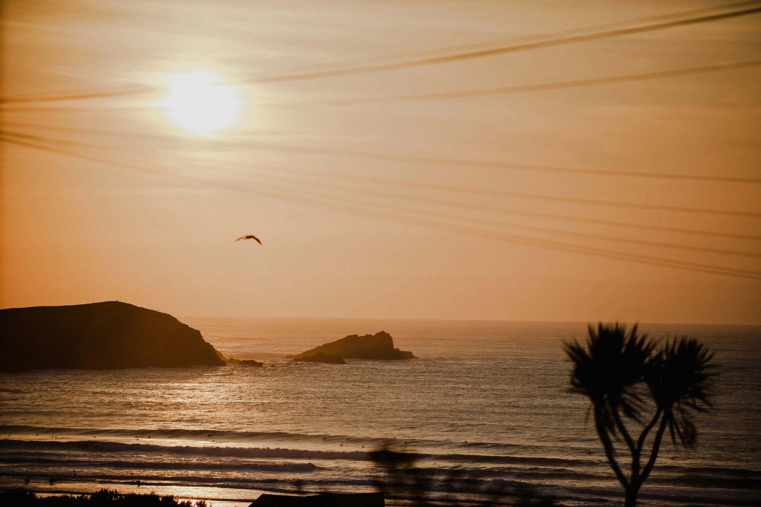 Sunset over the ocean with a bird flying, silhouetted trees, and distant rocks.