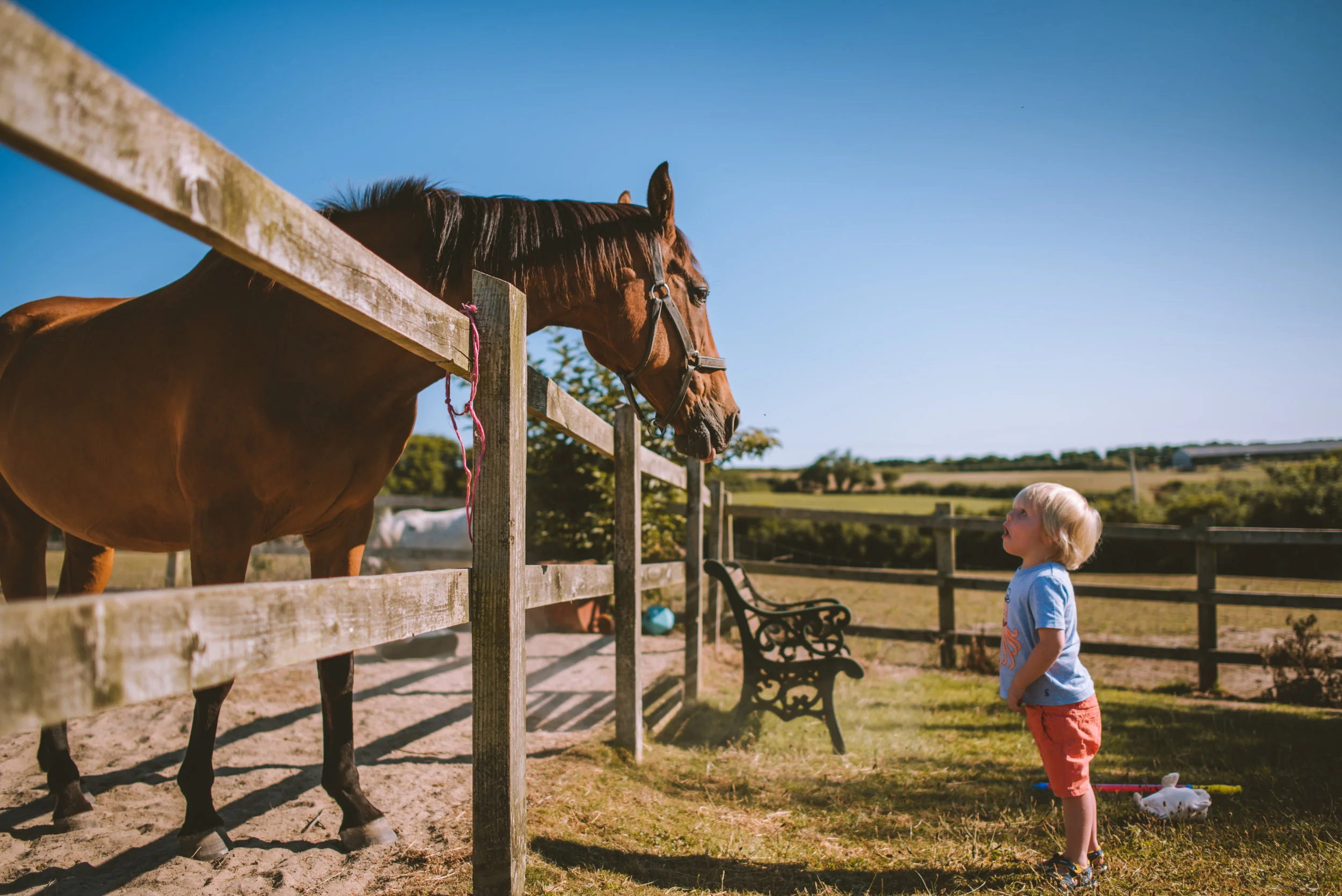 Family Photographer Cornwall