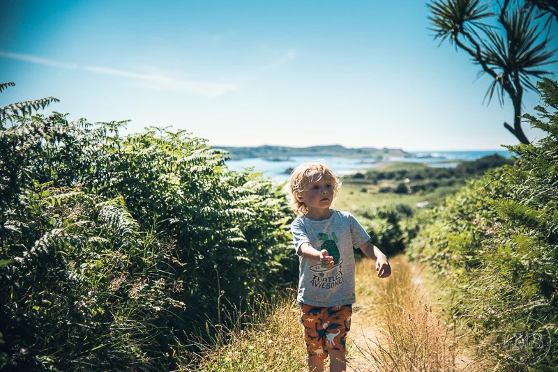 Isles of scilly photography. Young boy walking on a dirt trail through lush green bushes with a coastal landscape and water in the background on a sunny day.