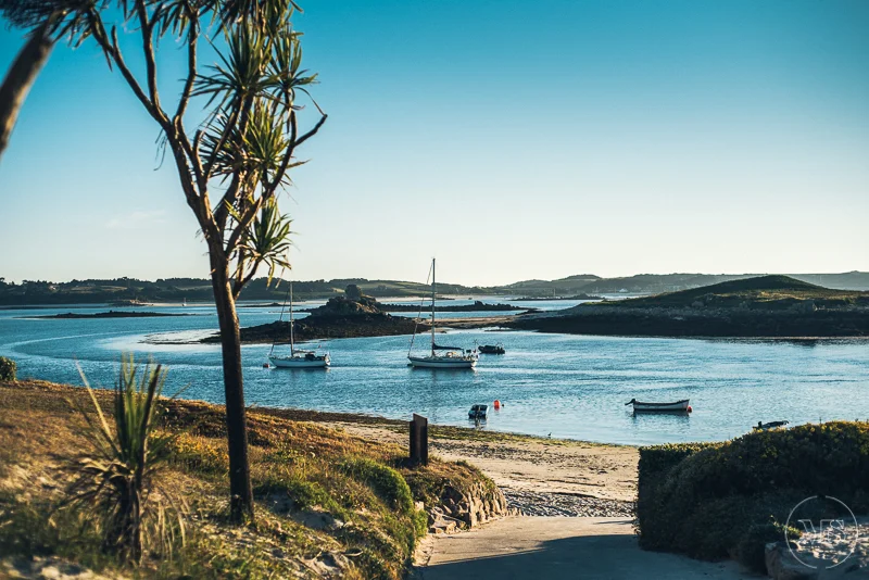 Scenic view of a coastal bay with sailboats anchored in calm water, a sandy beach, green bushes, and a tree in the foreground under a clear blue sky.