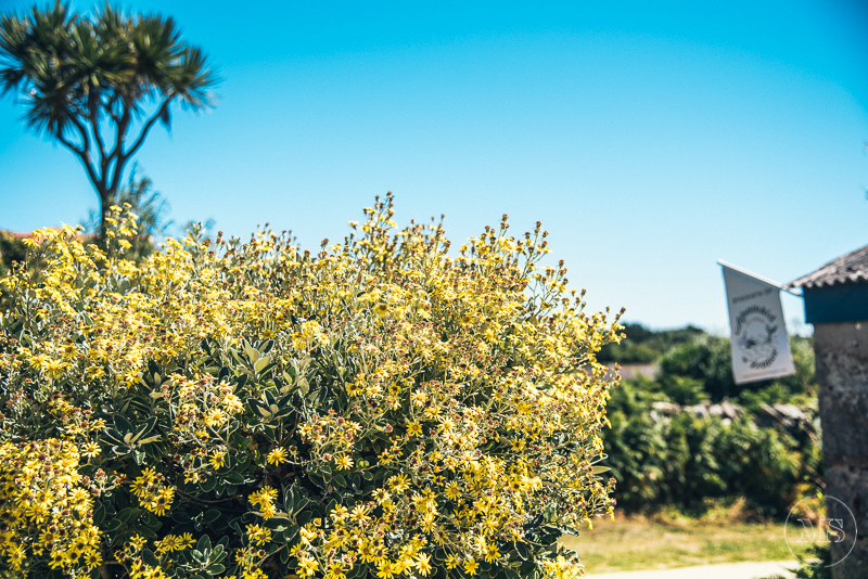 Isles of scilly photography