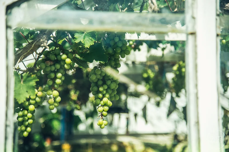 Isles of scilly photography