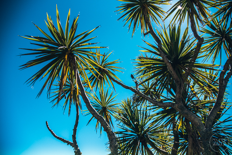 Isles of scilly photography