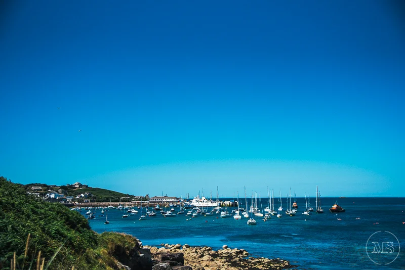 Isles of scilly photography. A harbor filled with sailboats and yachts, with a coastline of houses and greenery under a clear blue sky.