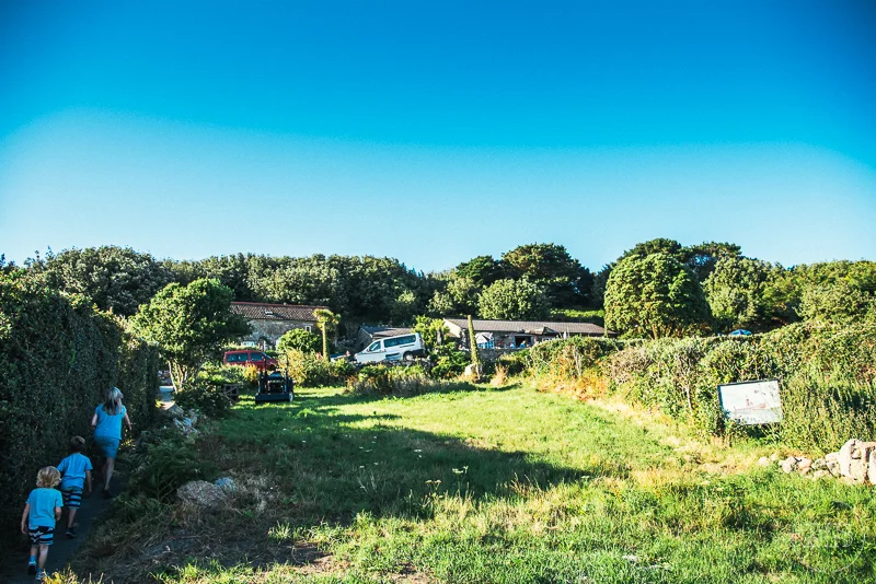 A grassy field with three children and an adult walking along a path on the left, surrounded by green bushes and trees, under a clear blue sky.