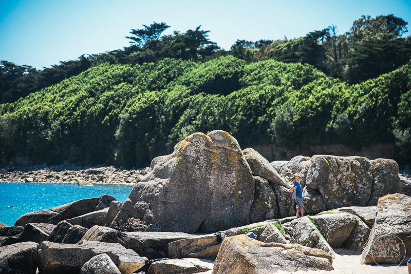 A person standing on large rocks at the shoreline, with a lush green hillside and trees in the background under a clear blue sky.