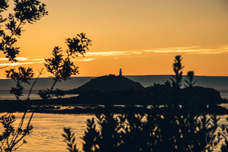Sunset over the ocean with a lighthouse on a small island, framed by silhouettes of bushes in the foreground.