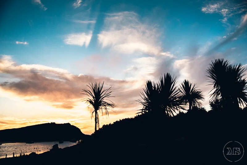 Isles of scilly photography. Silhouettes of palm trees against a colorful sunset sky with clouds over water and hills.