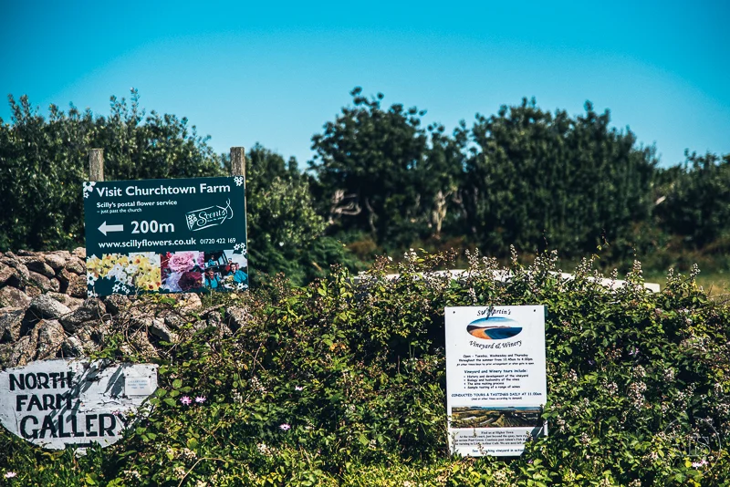 Signage at Churchtown Farm with directions and information, surrounded by greenery and bushes.
