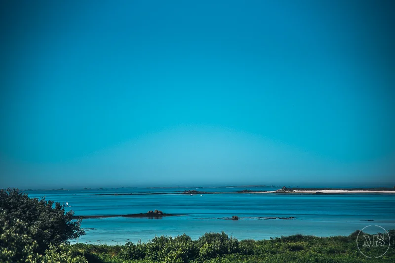 A coastal landscape with clear blue water, small islands or rocks, and green foliage in the foreground under a clear sky.