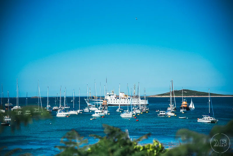 Isles of scilly photography. Sailboats and yachts docked in a harbor with a large ferry in the background, behind which an island or peninsula extends into the water. The sky is clear and blue.