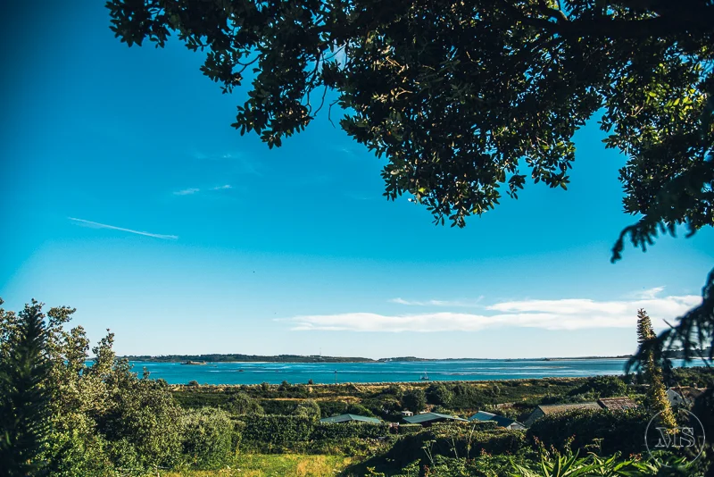 Isles of scilly photography. Scenic view of water and land under clear blue sky, framed by tree branches