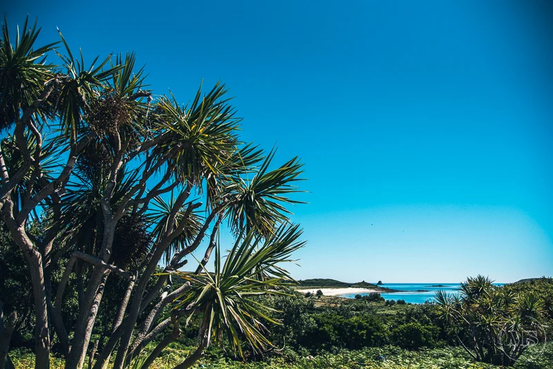 Isles of Scilly Professional Photographer - Mark Shaw Photography 