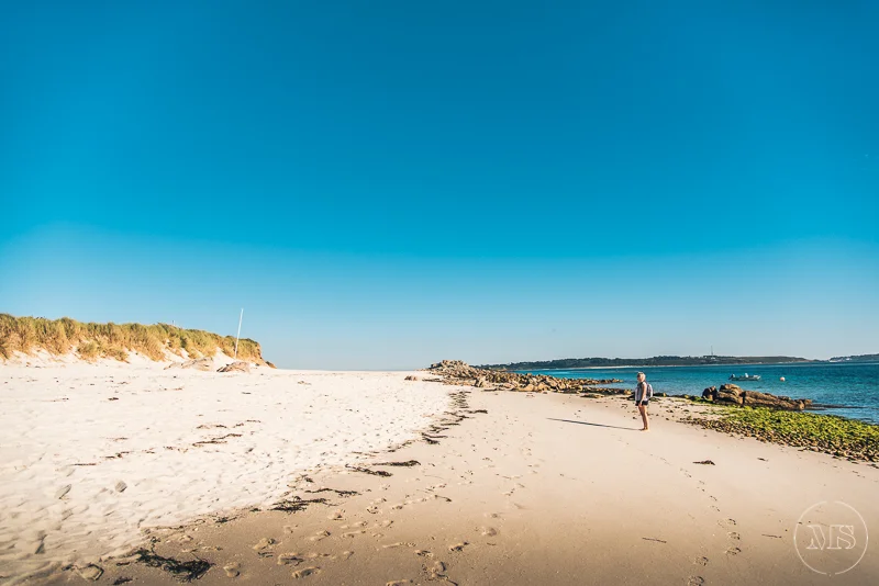 A person standing on a sandy beach near the water under a clear blue sky.