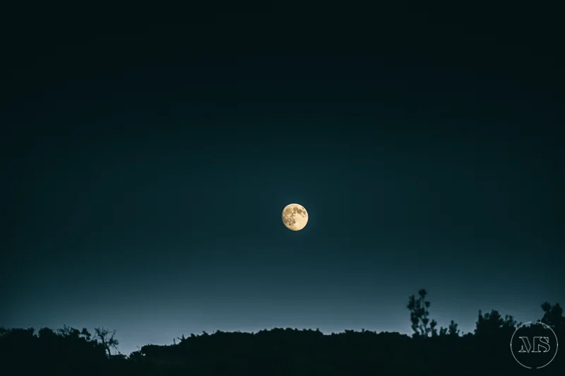 Isles of scilly photography. Full moon over a dark landscape with silhouettes of trees and hills.