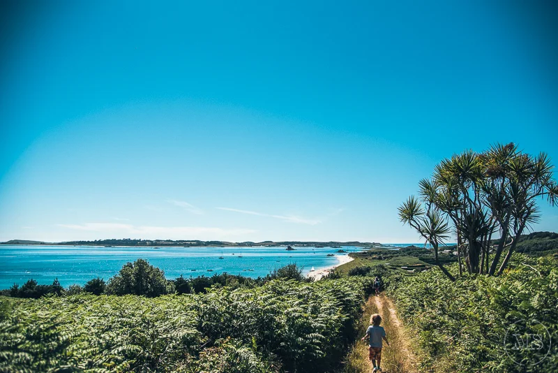 Isles of scilly photography. Child walking along a dirt path through green bushes towards a beach with calm blue water and a clear sky.