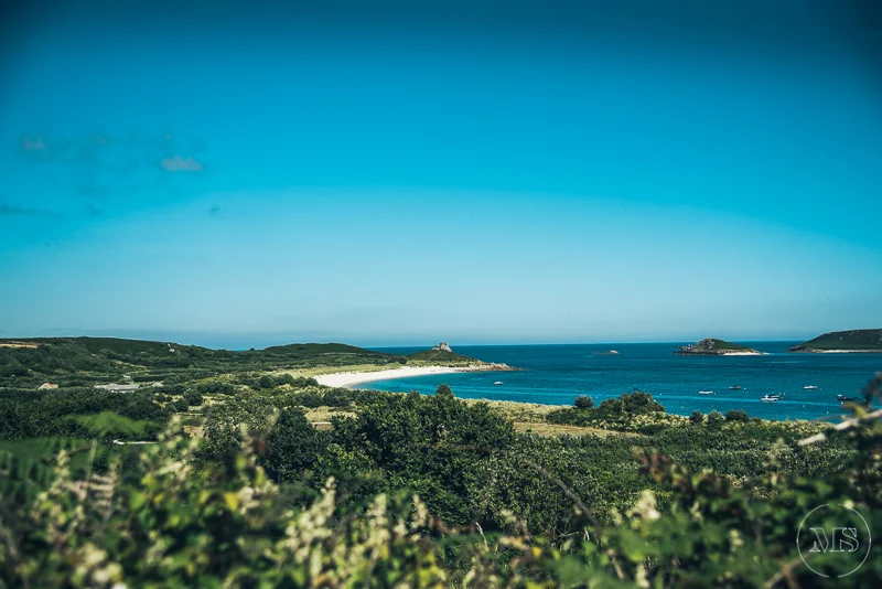 Scenic view of a rocky coastline with a beach, green vegetation, and blue ocean under a clear sky.
