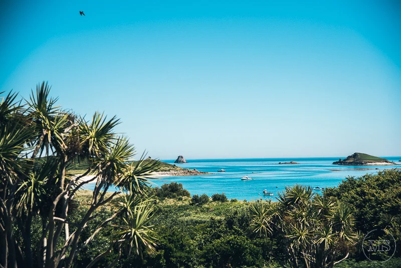 Isles of scilly photography. A coastal landscape with lush green trees in the foreground, calm blue ocean water with boats, and rocky islands in the distance under a clear blue sky.
