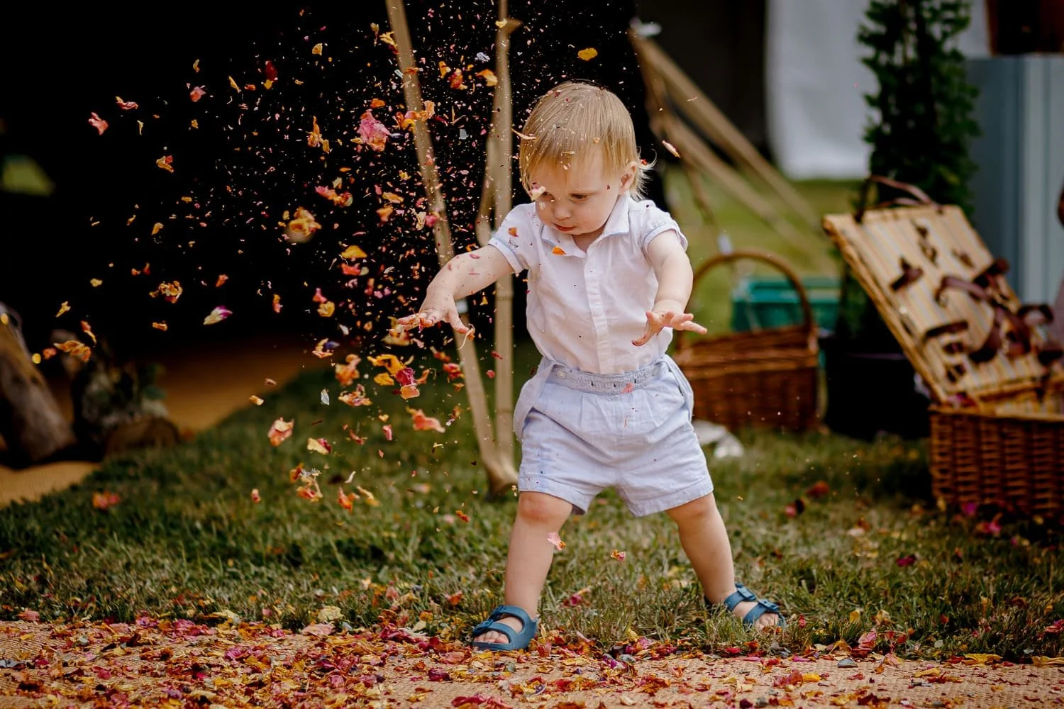 A young boy wearing a white shirt and light shorts is playing outside on grass and dirt, tossing colorful flower petals into the air, with a joyful expression.