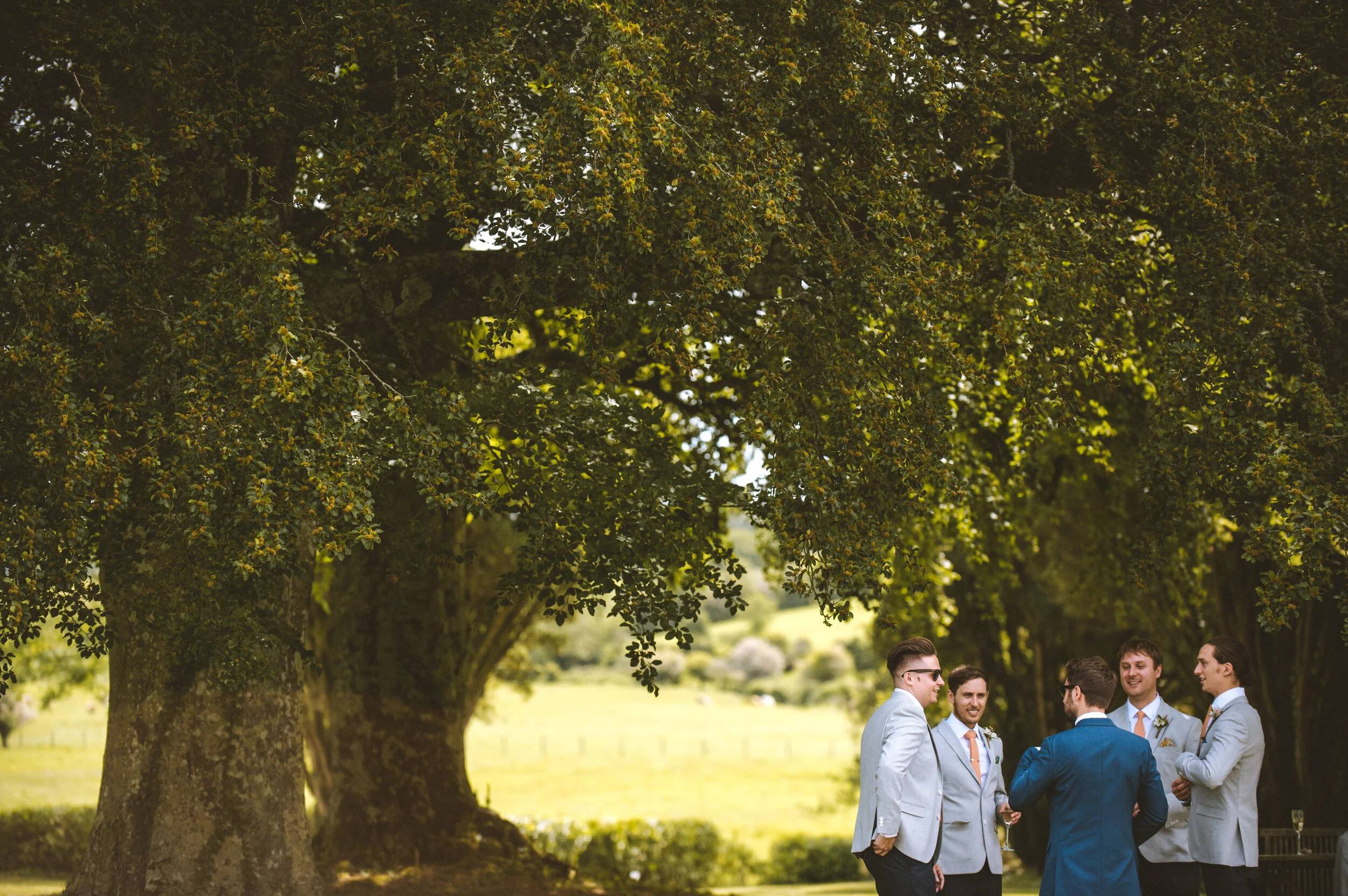 A group of five men dressed in suits and ties, standing outdoors under a large, leafy tree during daytime, engaged in conversation and smiling.