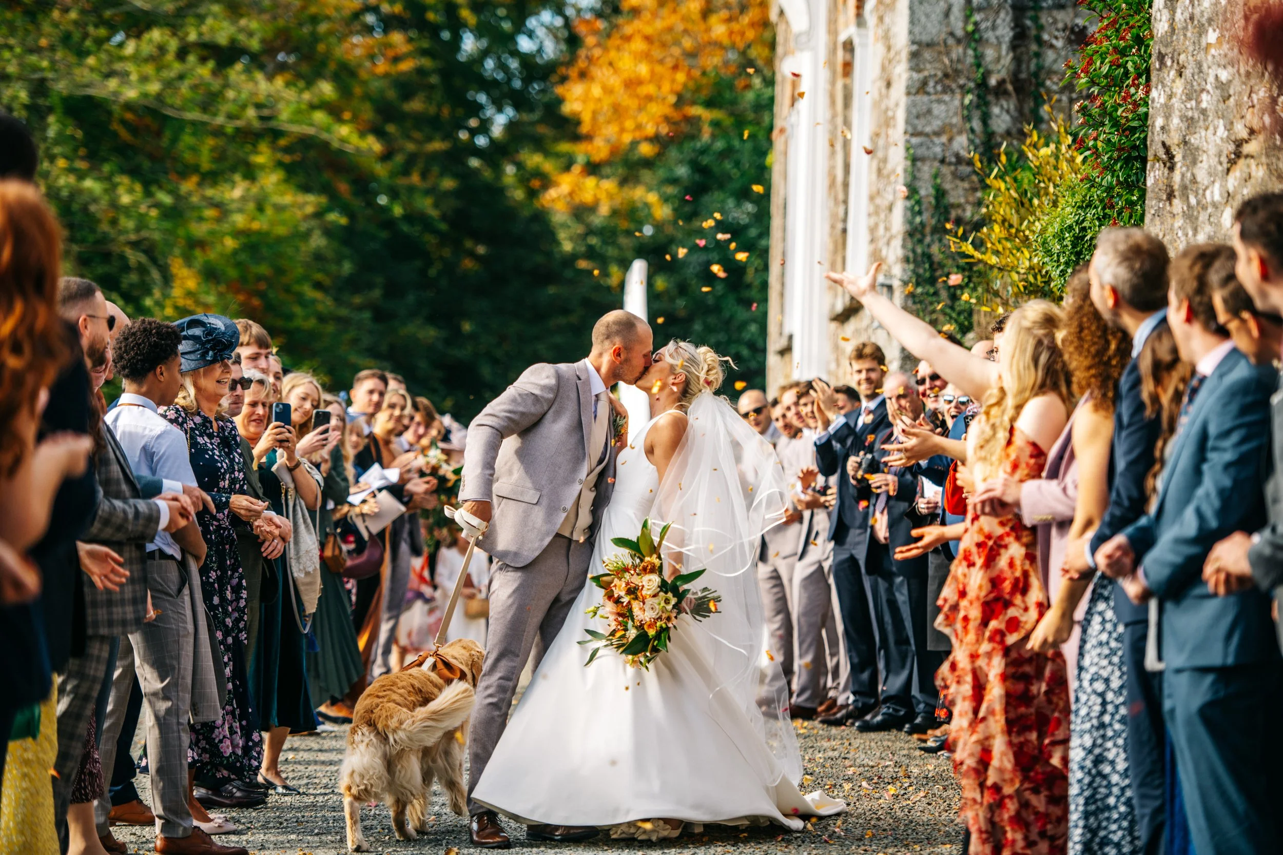 A couple in wedding attire sharing a kiss outdoors surrounded by guests, with a dog and colorful autumn trees in the background.