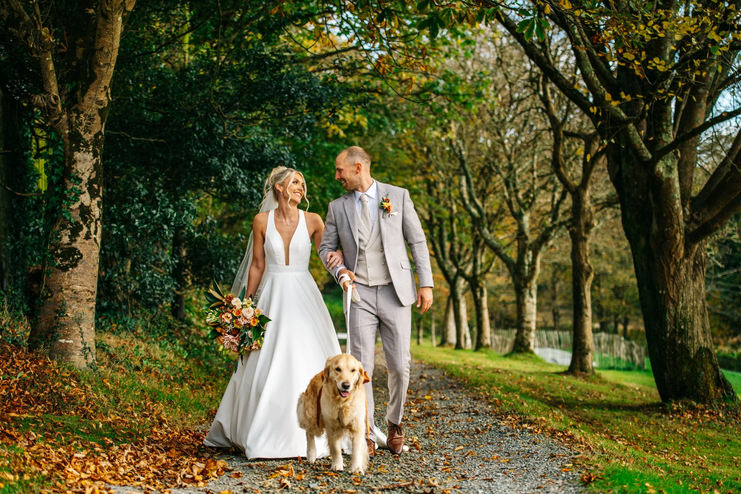 A bride and groom walking together on a park trail during autumn, with their dog. The bride wears a white wedding dress and holds a bouquet, while the groom wears a light gray suit and holds a leash for their golden retriever. Trees with falling leav