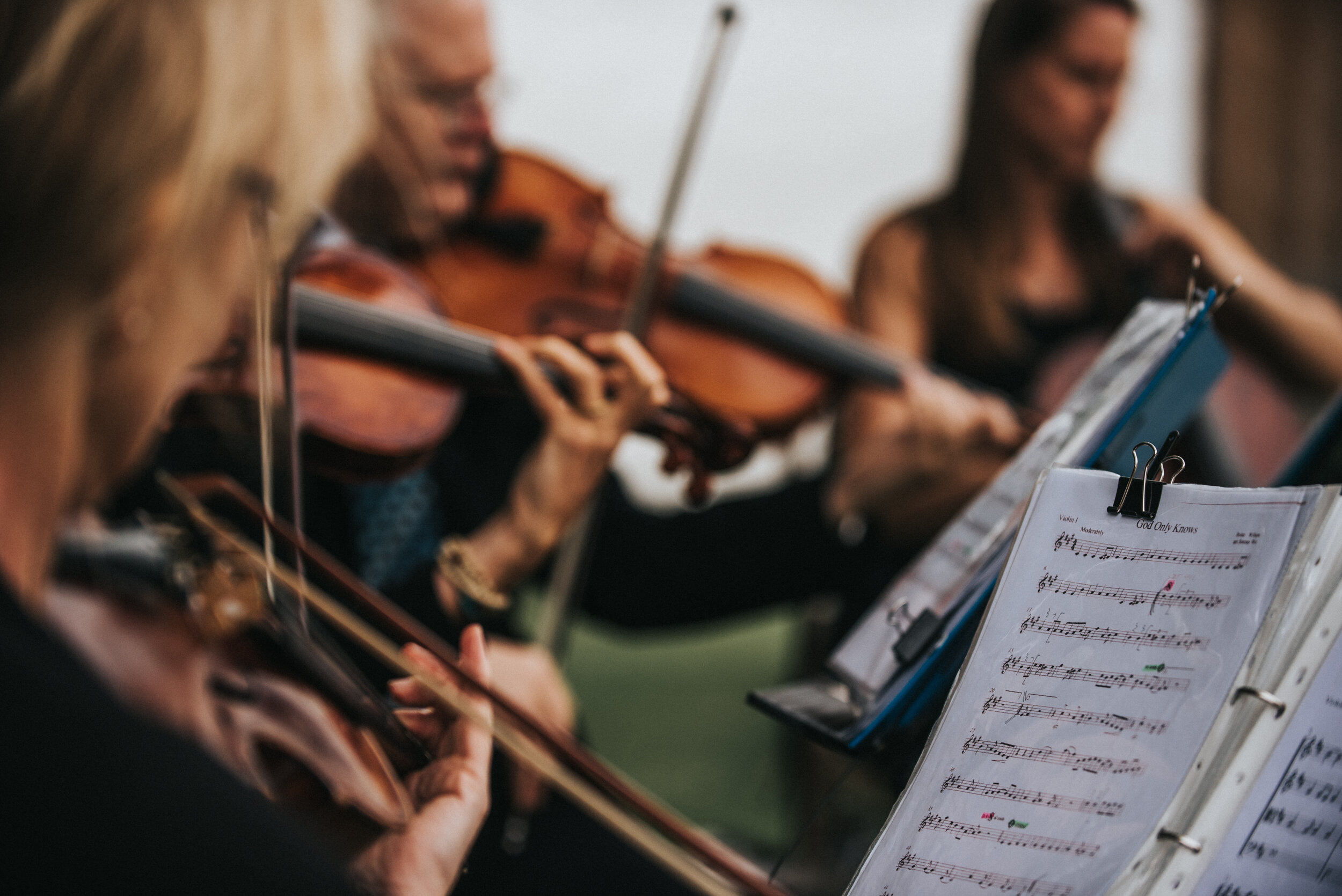 Group of musicians playing violins while reading sheet music from music stands.