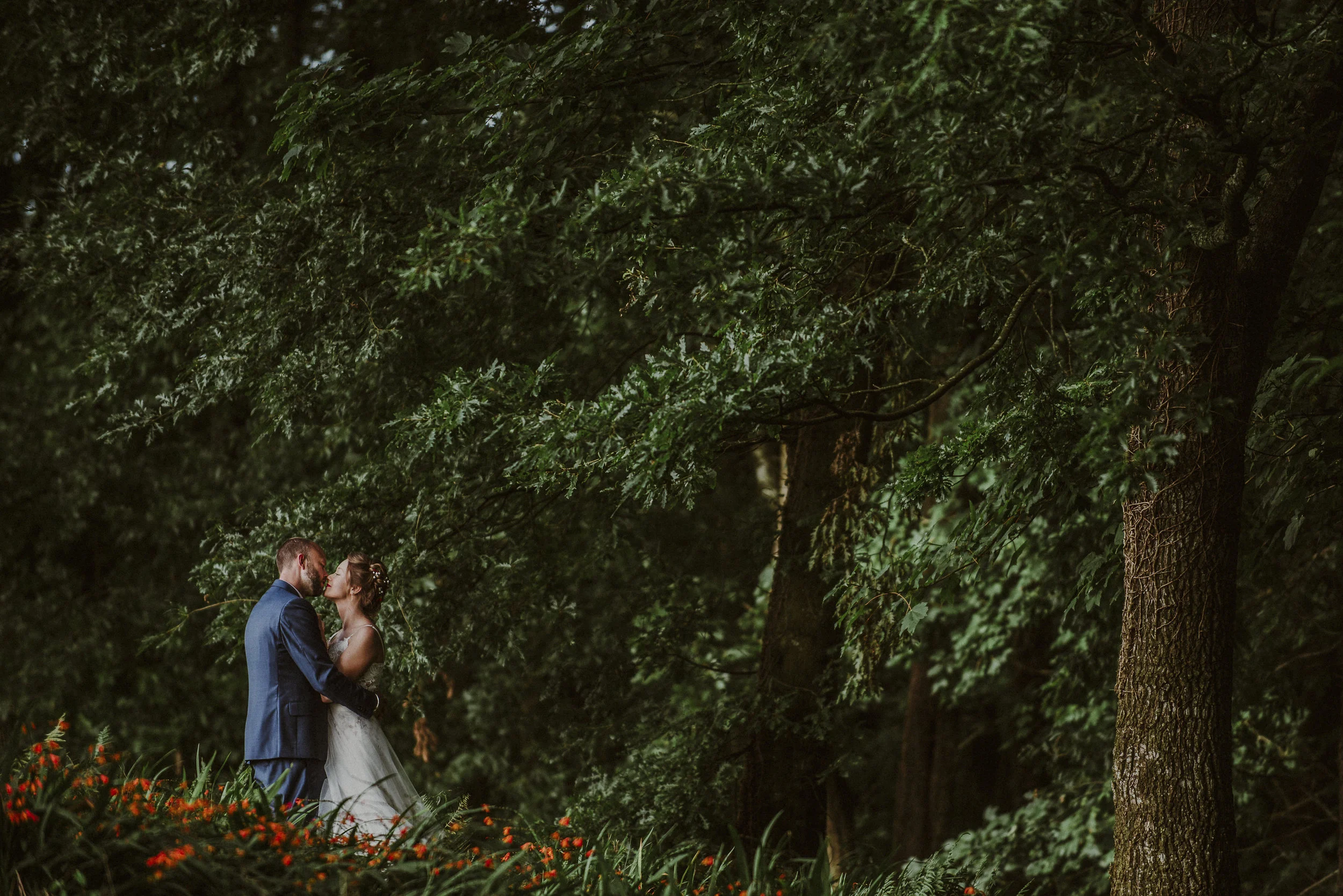 A bride and groom hugging and kissing in a forested area surrounded by tall trees and green foliage.