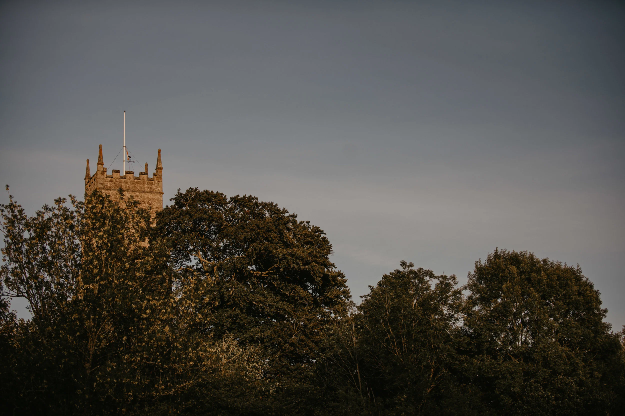 Castle tower peeking above treetops against a cloudy sky.