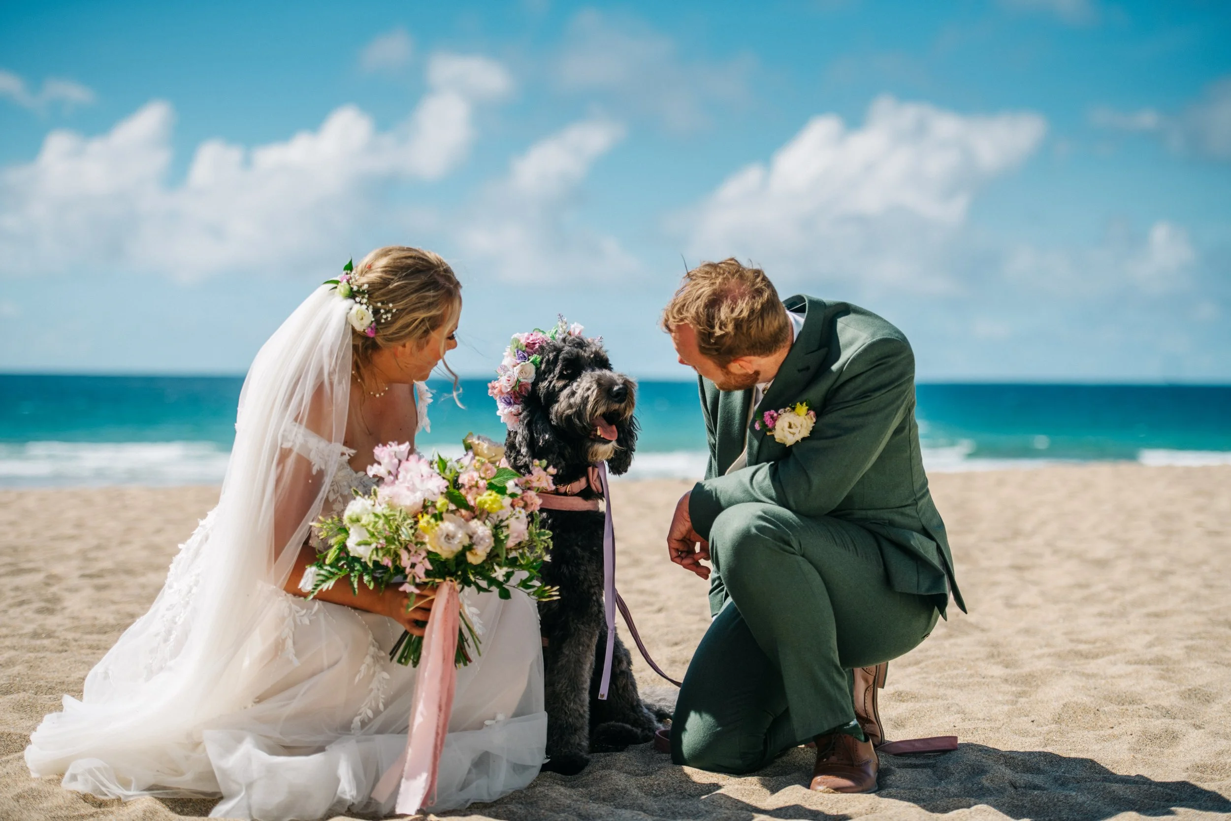 Bride and groom with dog on beach in Cornwall, wedding ceremony, floral decorations, ocean backdrop, clear sky.