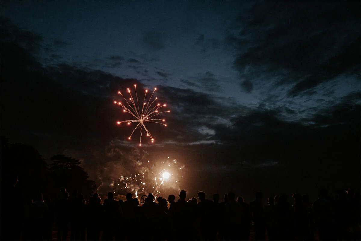 Fireworks display lighting up the night sky with silhouettes of crowd watching.