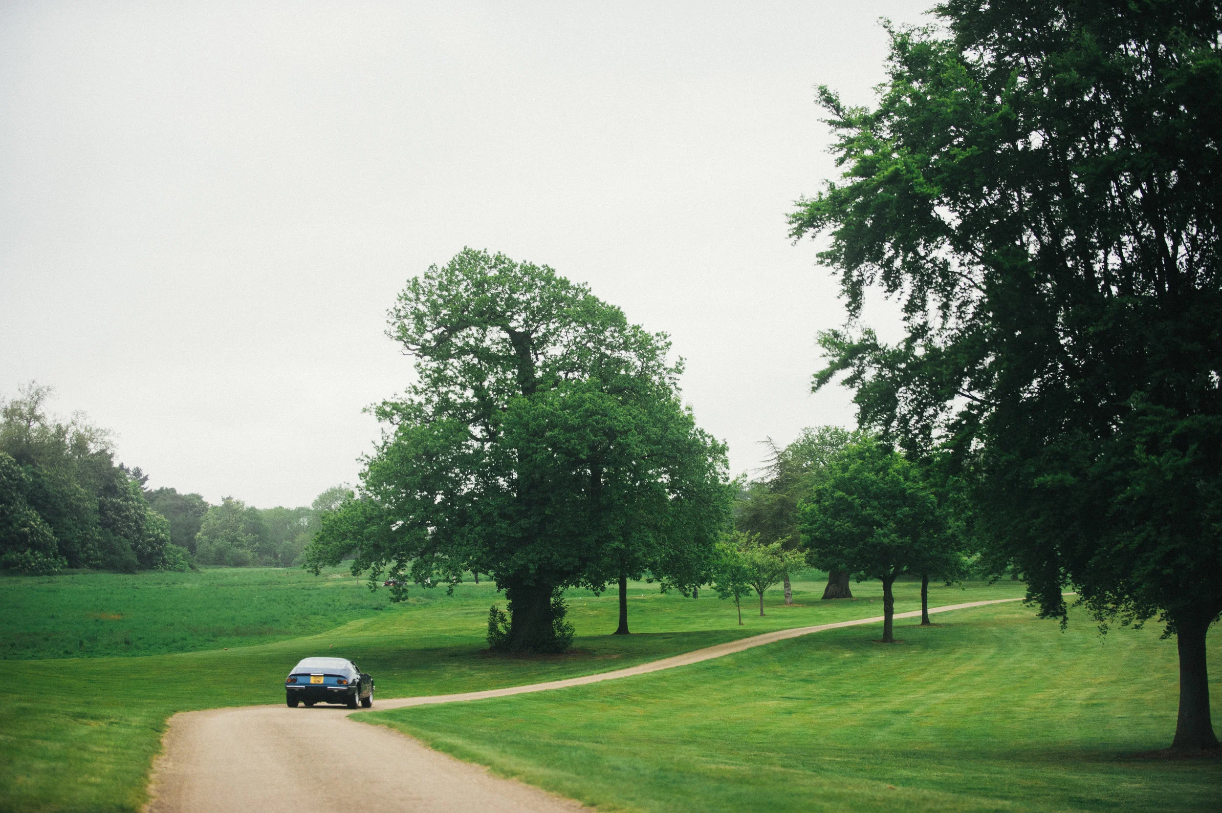 A black car driving on a dirt road through a green park with trees and grass.