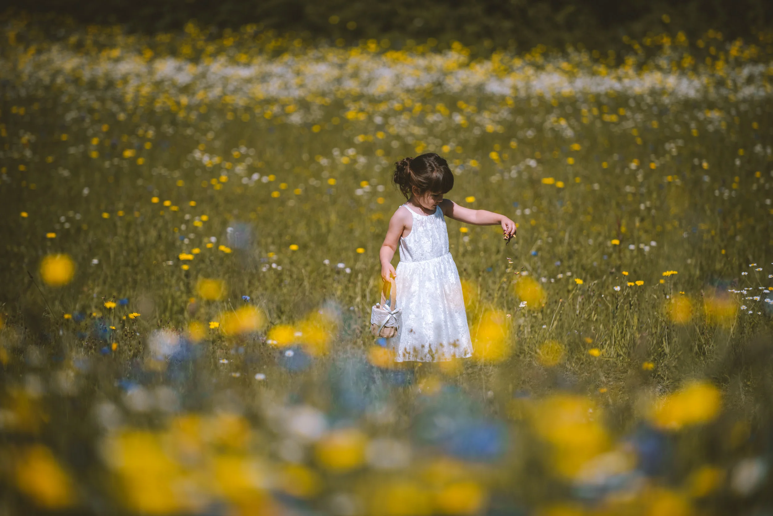 A young girl in a white dress explores a field of yellow and white wildflowers on a sunny day, holding a small basket.