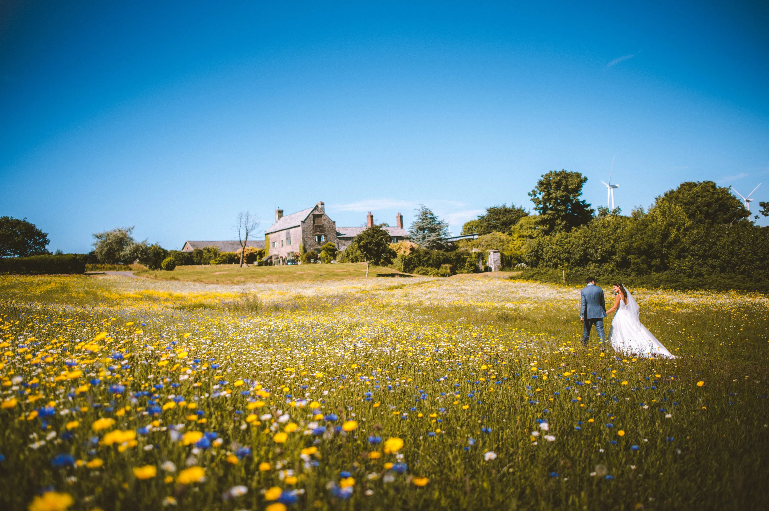 A bride and groom holding hands walking through a field of colorful wildflowers under a clear blue sky.