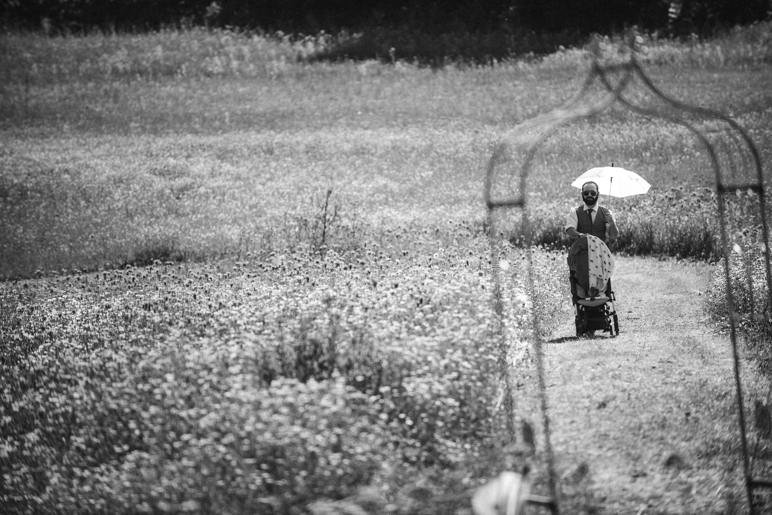 A man with sunglasses and a beard pushing a stroller along a path in a field of flowers, holding an umbrella, framed by an archway.