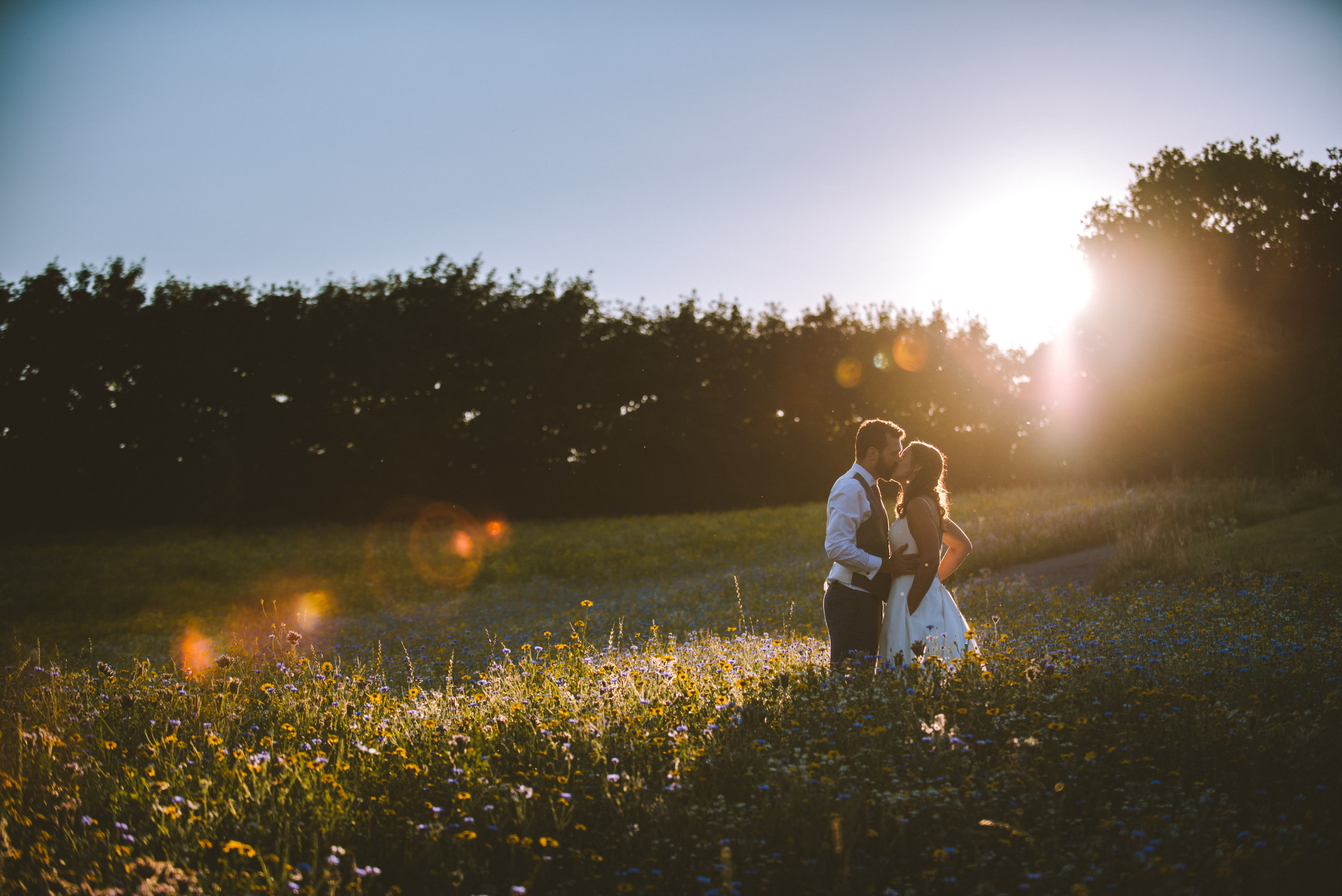 Wedding photo of bride and groom kissing in a field of wildflowers in Devon during sunset captured by Mark Shaw Photography 