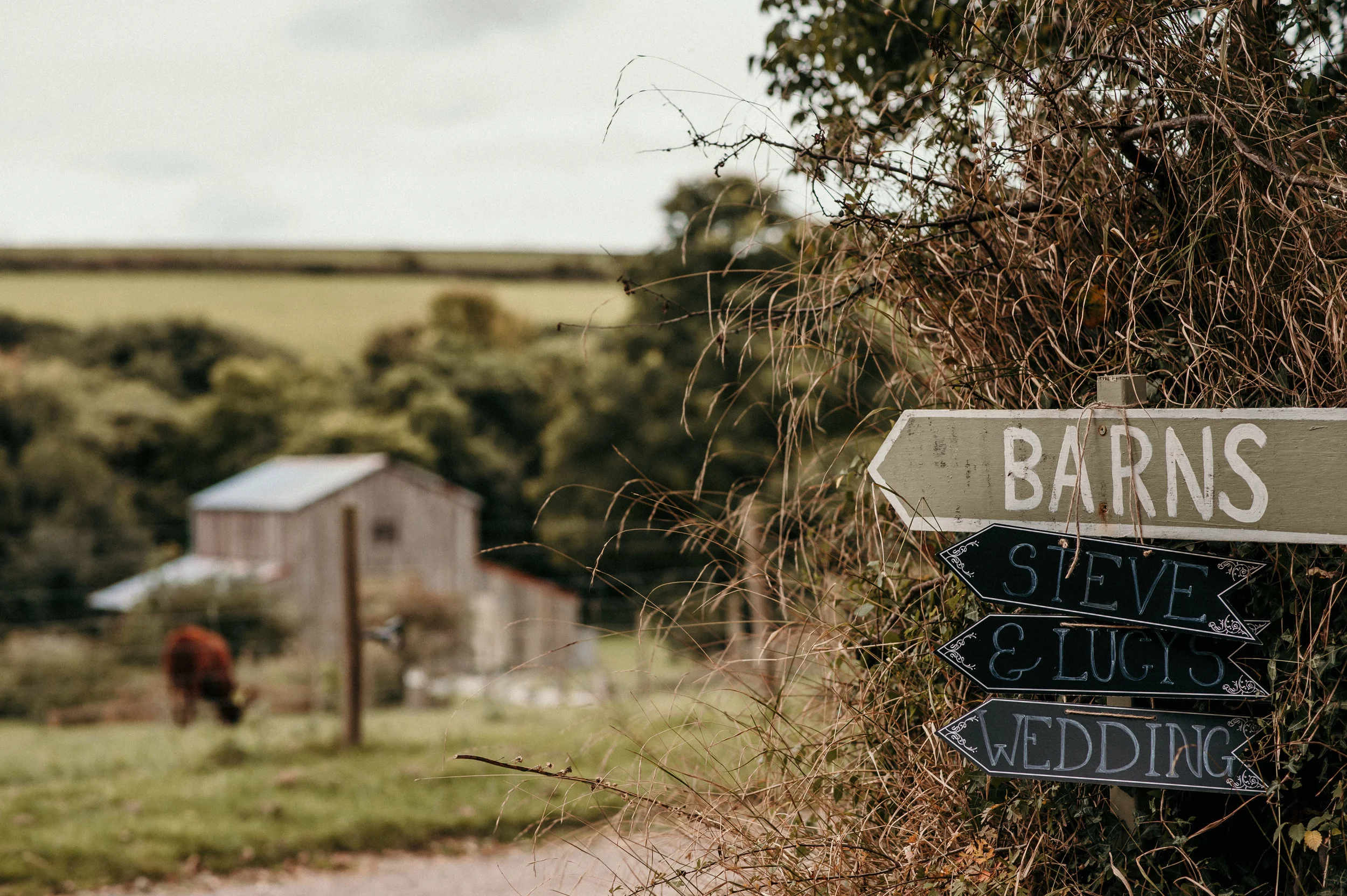 A wooden sign pointing to barns, with additional arrows pointing to Steve & Lucys and wedding, attached to a vine-covered wall. A rustic barn and trees are in the blurred background on a cloudy day.