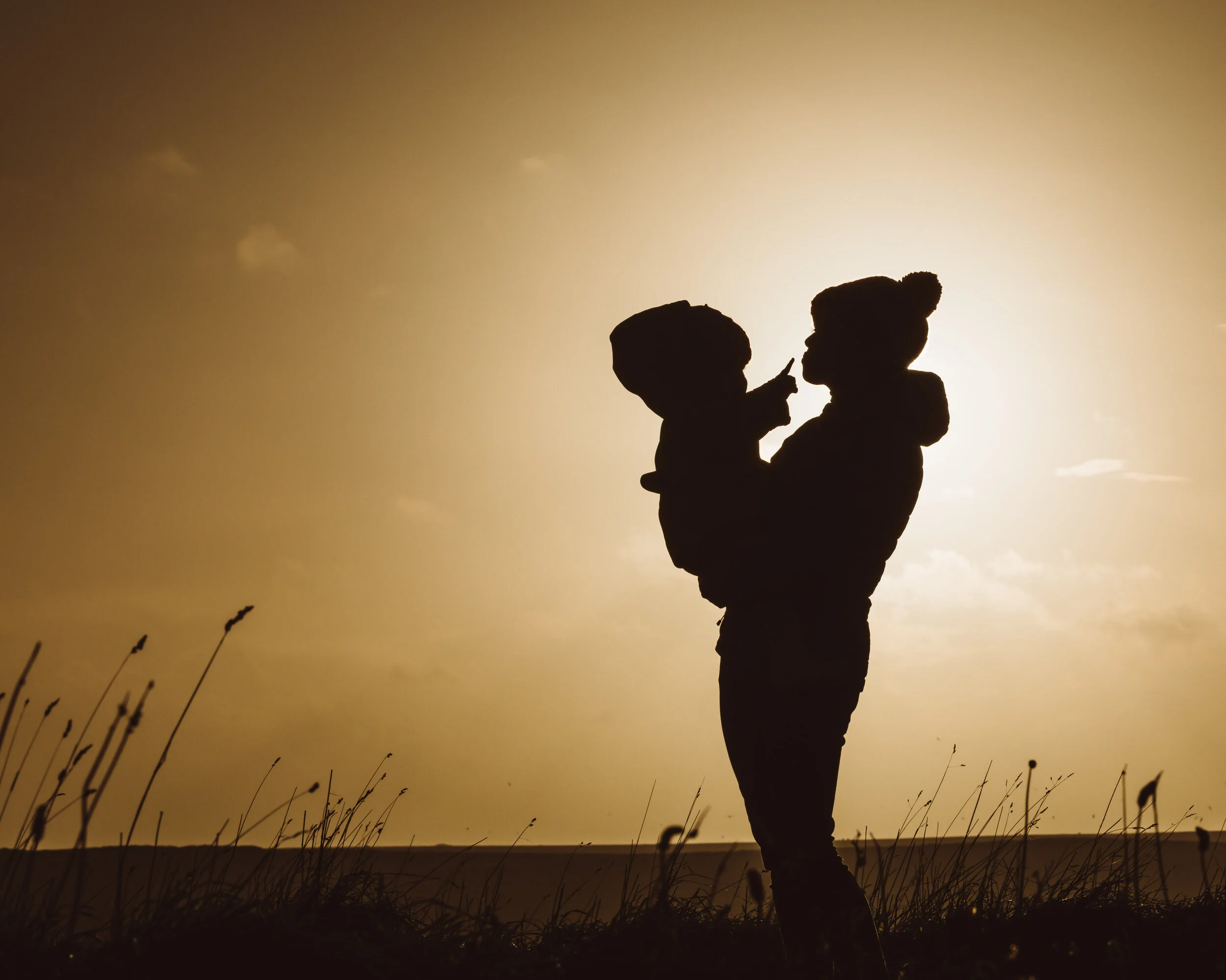 Silhouette of a person holding a child against a sunset sky with tall grass.