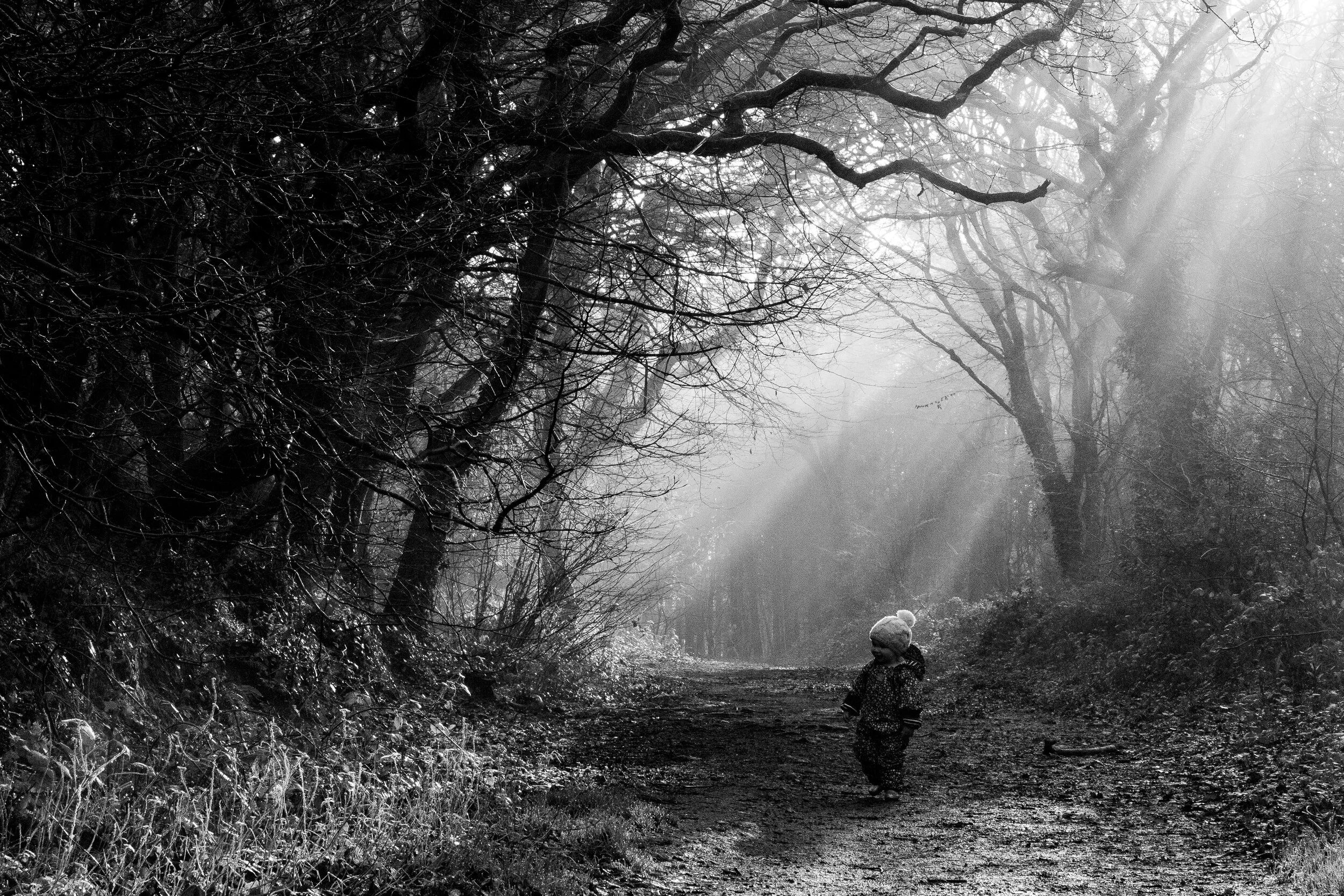 A child walking along a forest trail with leafless trees and sunlight streaming through the branches in black and white