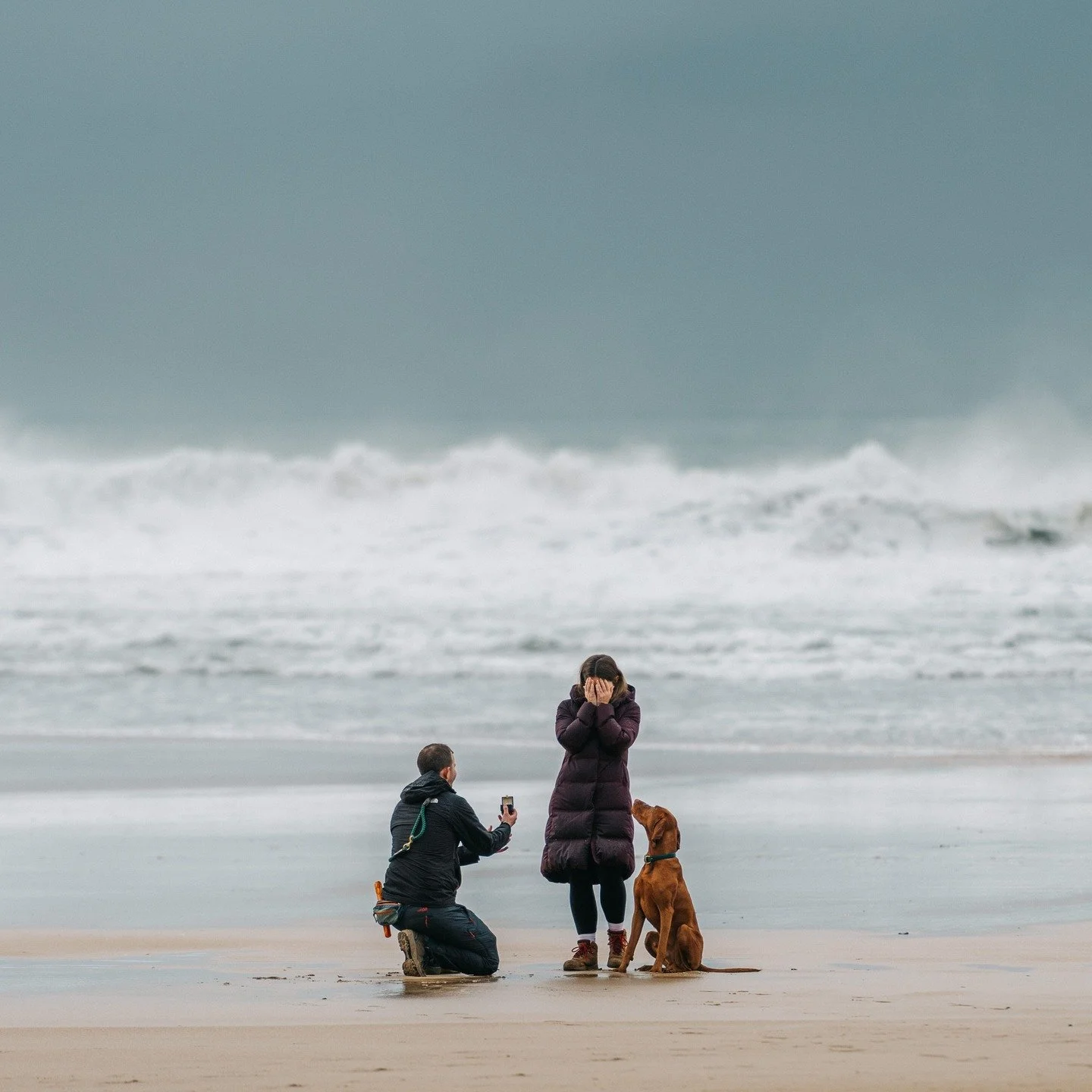 Ending my photography for 2025 on a high with this intimate surprise engagement proposal captured on the north coast of Cornwall 🌊 💍 #cornwallphotographer #cornwallengagement #cornwallengagementphotographer #cornwallweddingphotographer