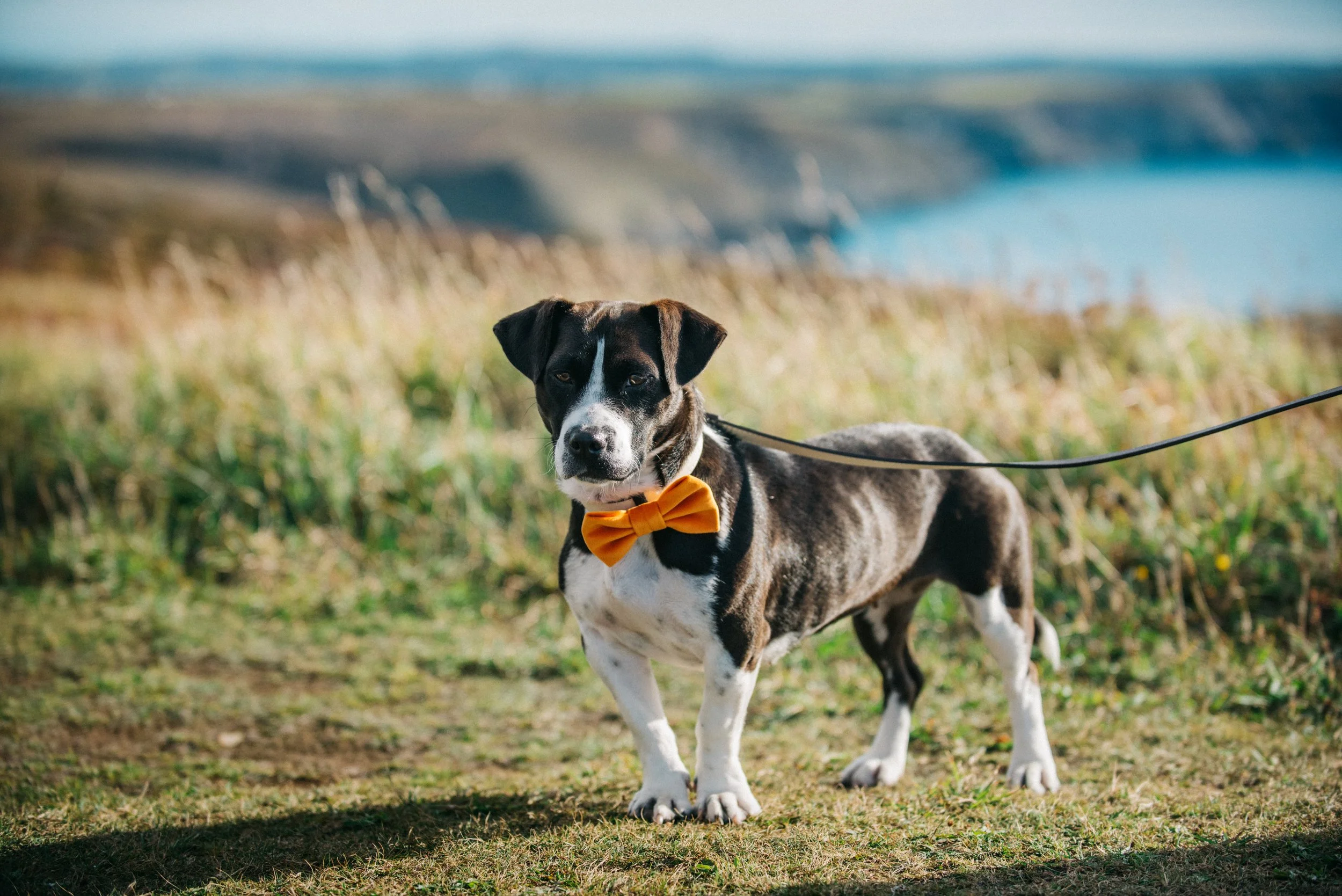cornwall-elopement-photography-22.jpg