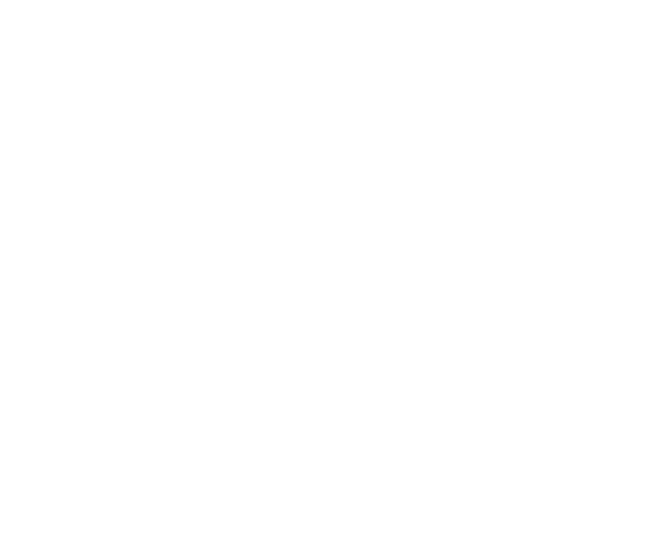 White sunburst pattern on a bright green background.